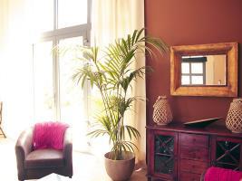 Le Chateau Des Cinq Cantons Hotel Carpentras Esterno foto